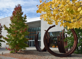 Les entretiens d’Accent 4 avec Marie-France Bertrand, directrice du Musée Würth