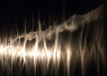 Entretien avec Matias Rosales